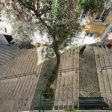 Cosy Alfama Hideout - With Rooftop Terrace *